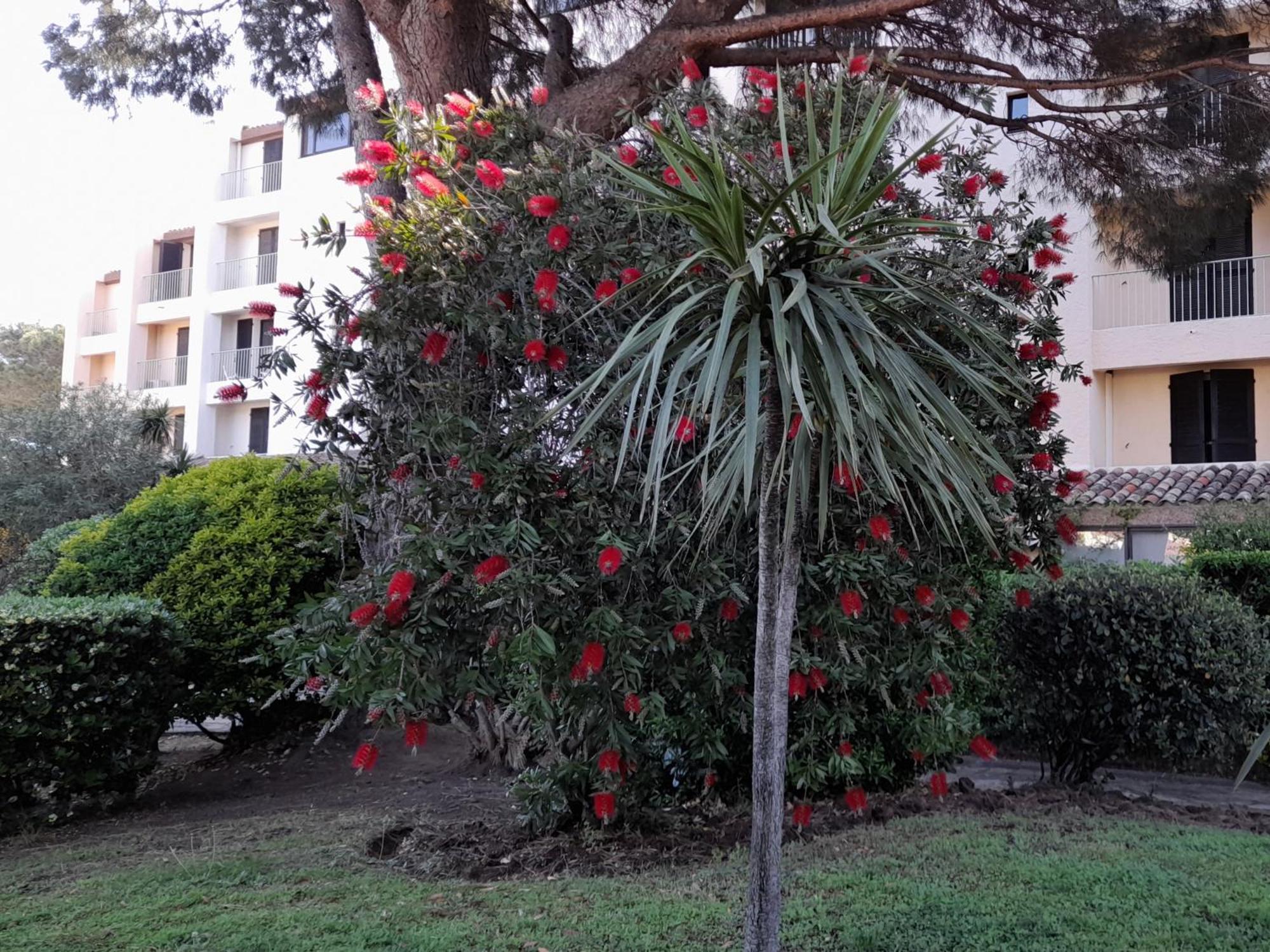 Marina Bella Cogolin Exterior foto